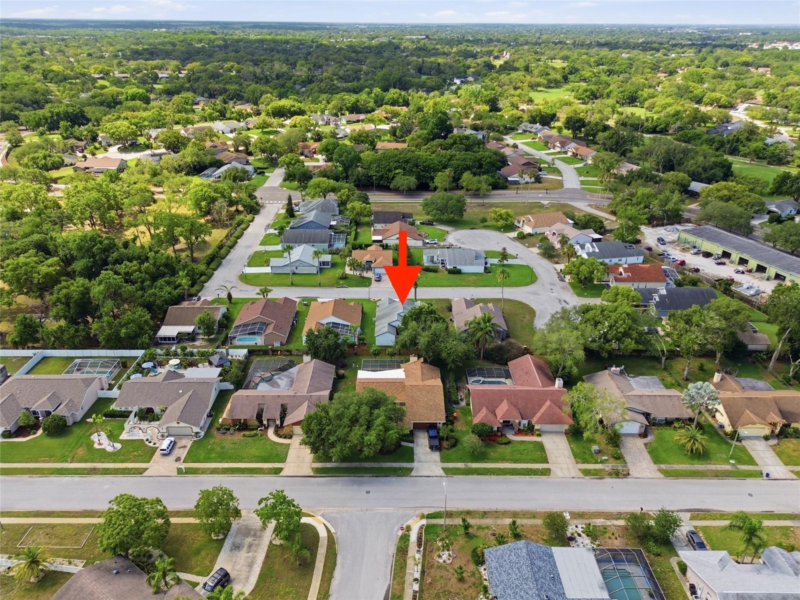 8051 THATCH TER, HUDSON, FL, 34667