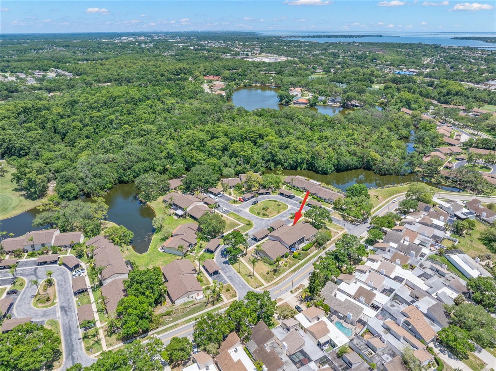 30 INGRID PL, OLDSMAR, FL, 34677