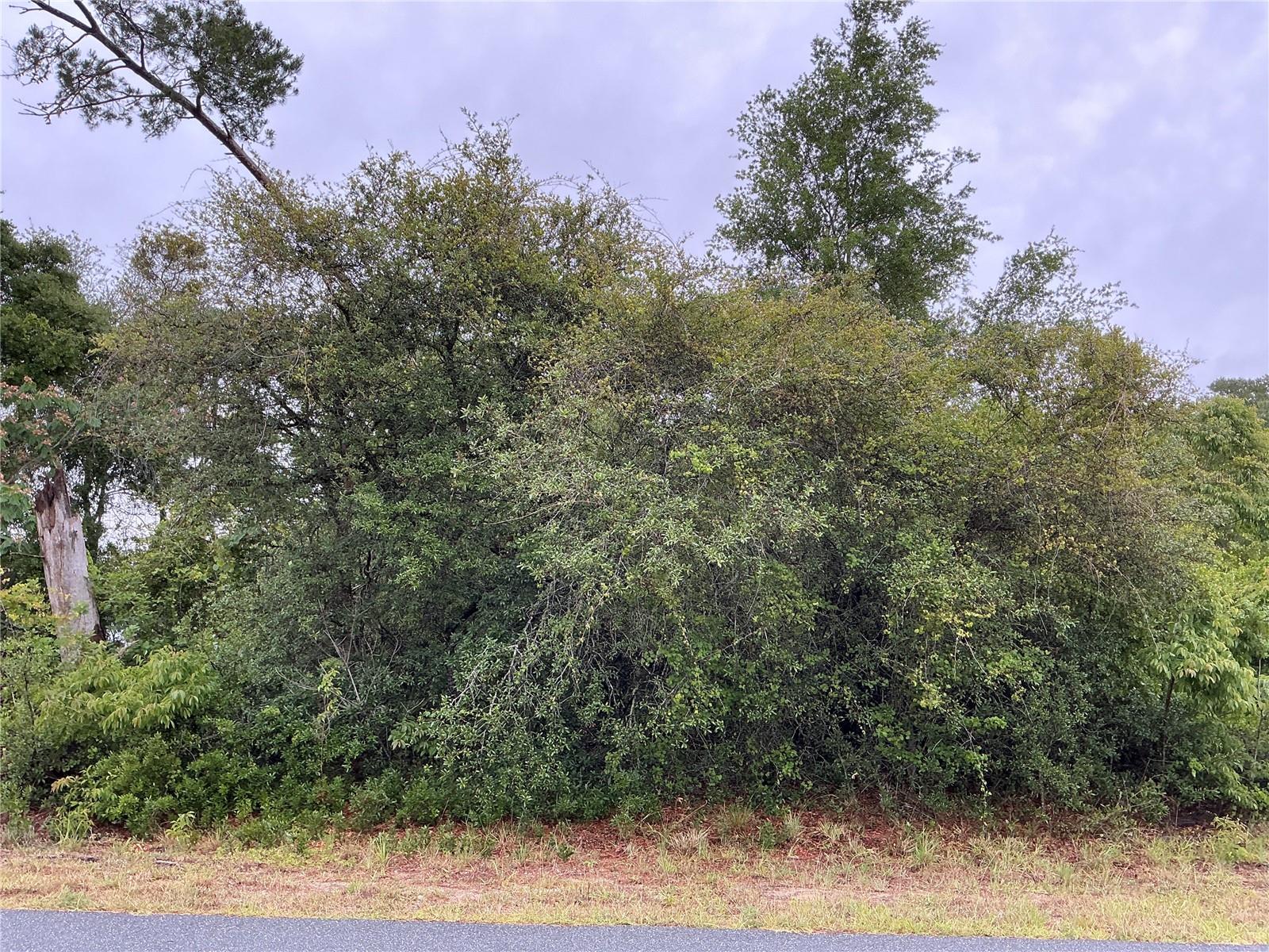 SW 165TH PL, OCALA, FL, 34473