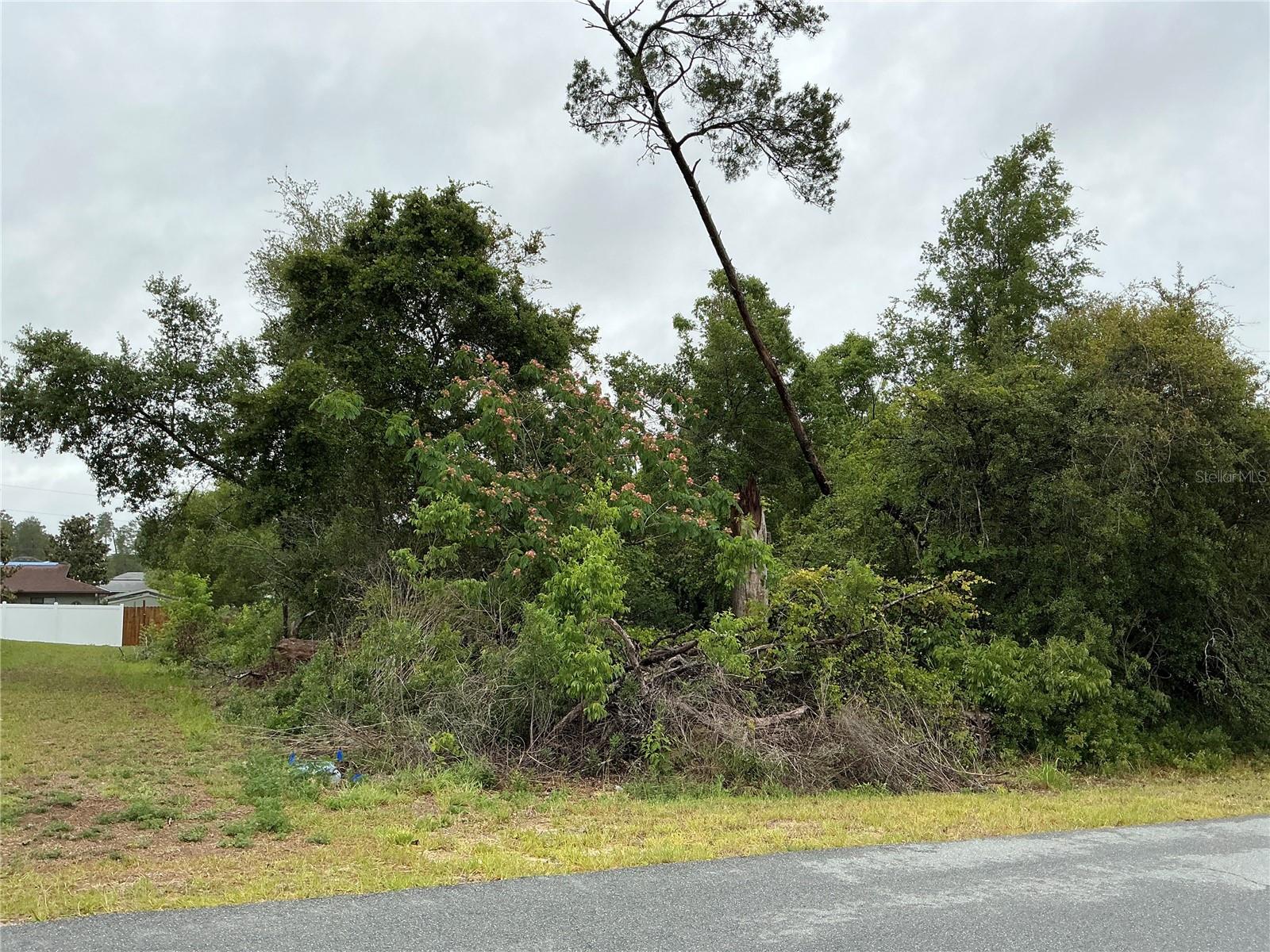 SW 165TH PL, OCALA, FL, 34473