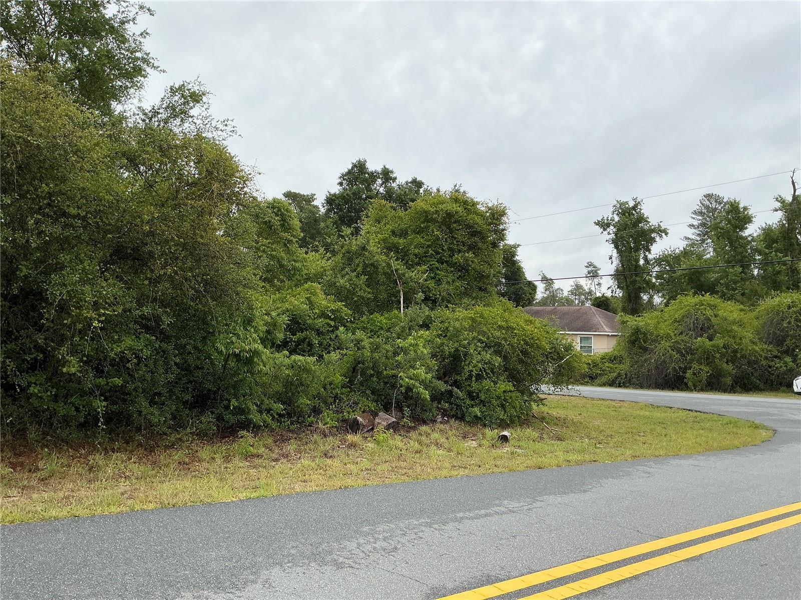 SW 165TH PL, OCALA, FL, 34473