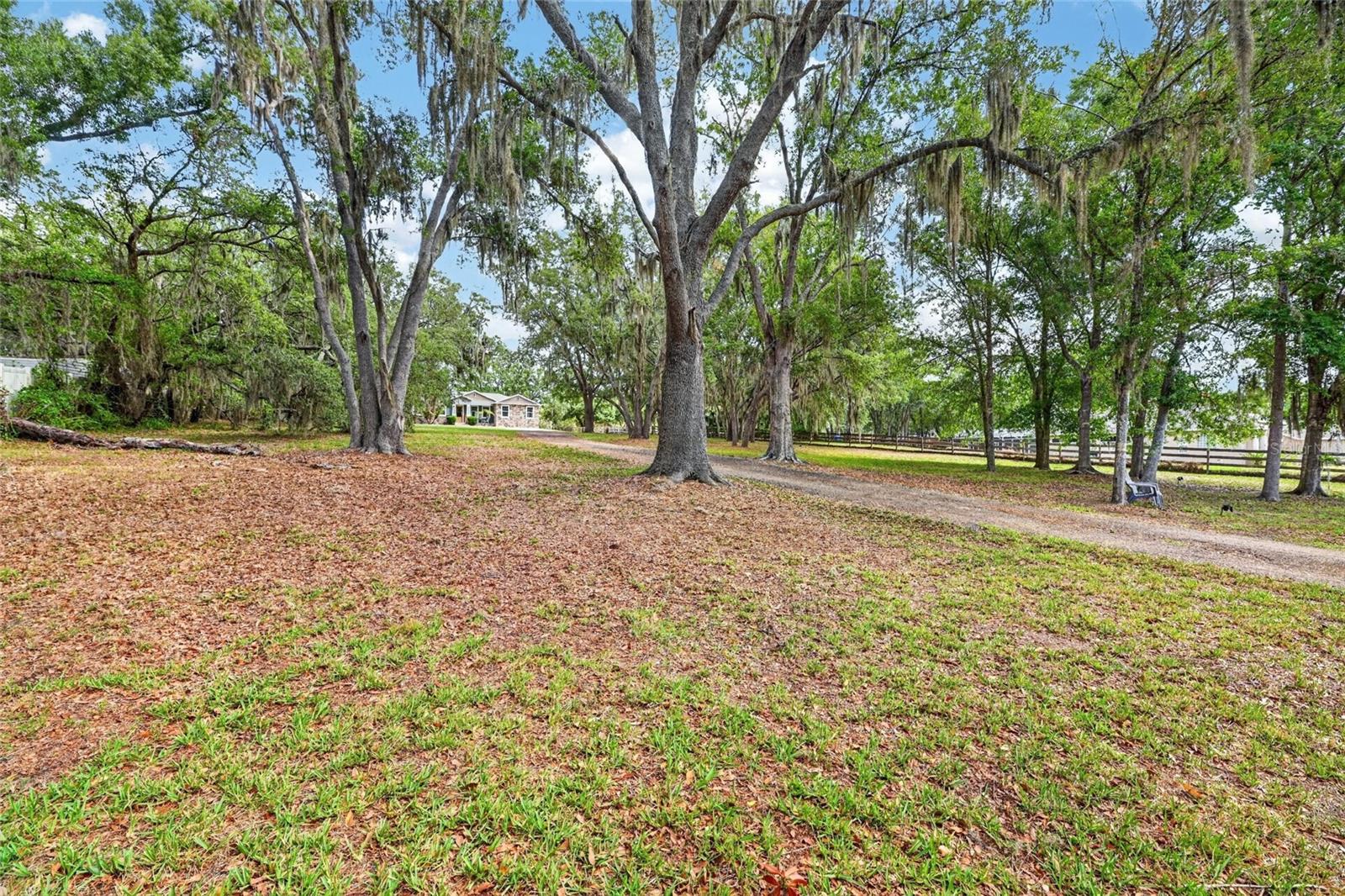13008 SHADOW RUN BLVD, RIVERVIEW, FL, 33569
