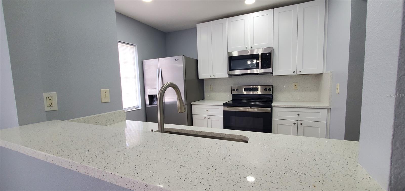 1661 FLUORSHIRE DR, BRANDON, FL, 33511