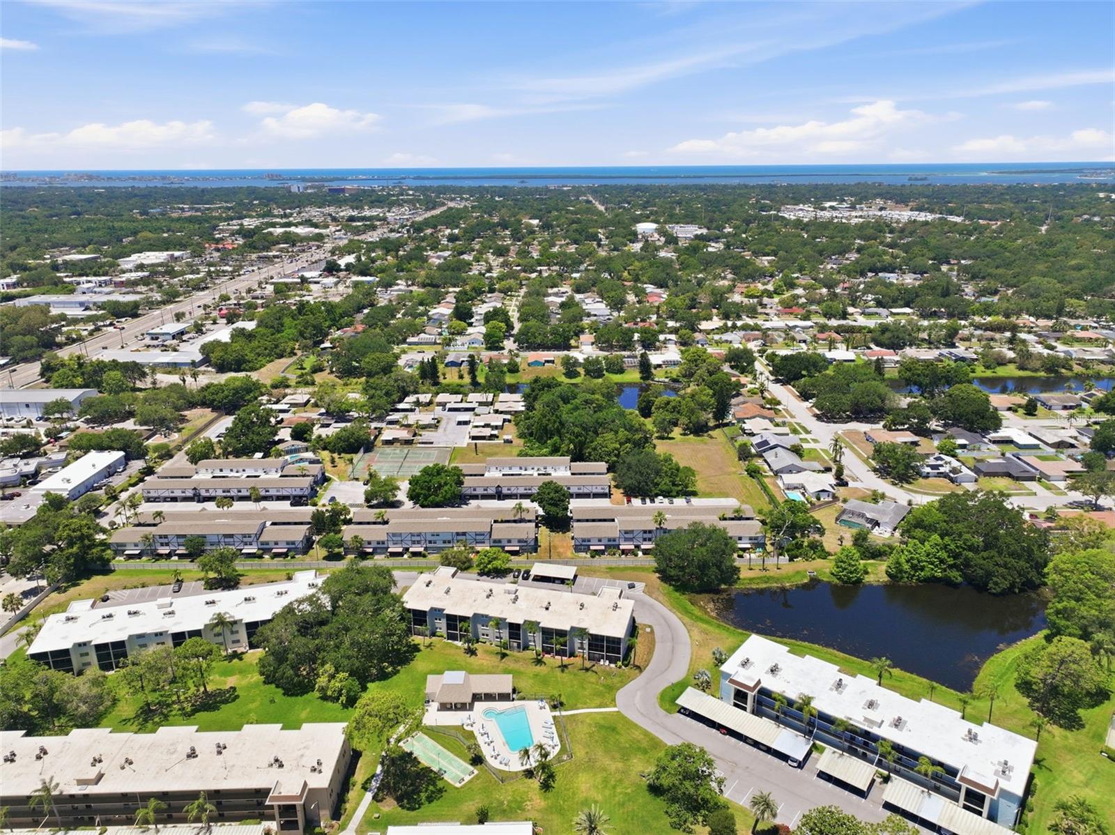 1127 KING ARTHUR CT #316, DUNEDIN, FL, 34698