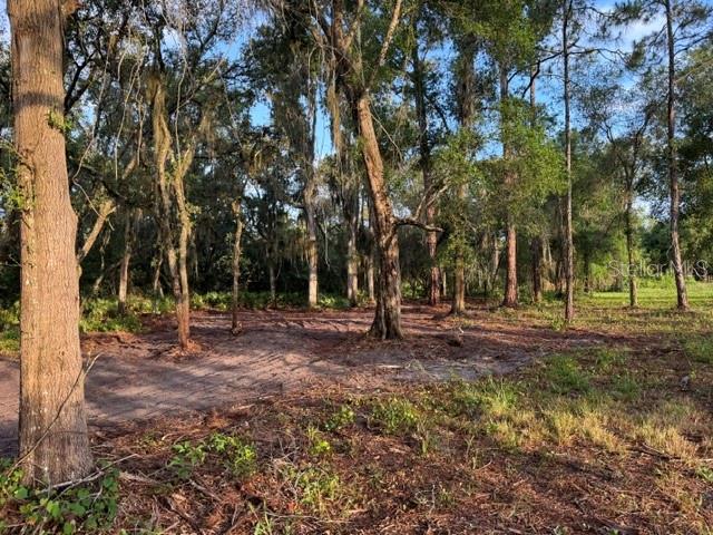 SPRING GARDEN RANCH RD, DE LEON SPRINGS, FL, 32130