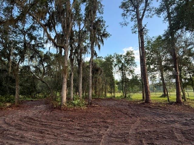 SPRING GARDEN RANCH RD, DE LEON SPRINGS, FL, 32130