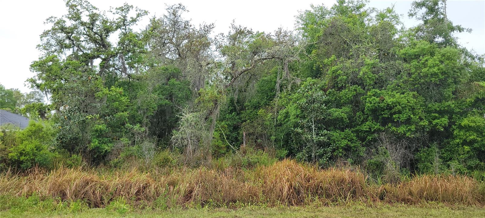 SPRUCE RD, OCALA, FL, 34472
