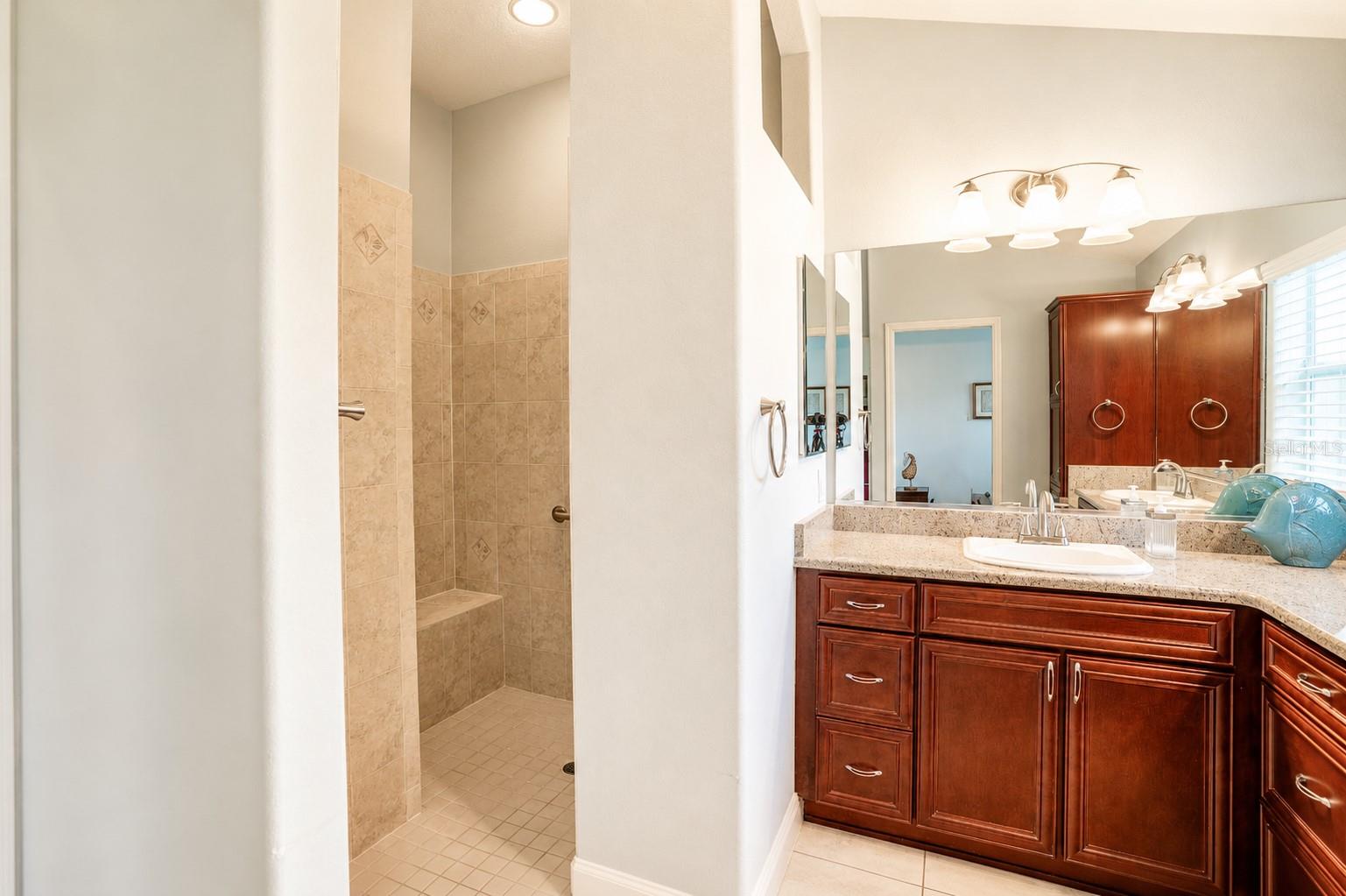 2696 MIDLAND TER, THE VILLAGES, FL, 32162