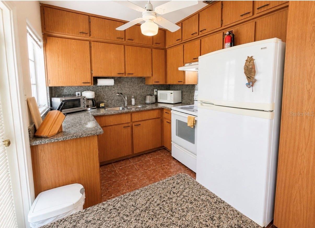 1006 GULF RD, TARPON SPRINGS, FL, 34689