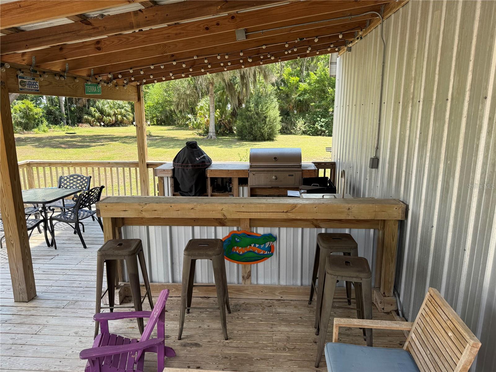 4232 COUNTY ROAD 400, LAKE PANASOFFKEE, FL, 33538