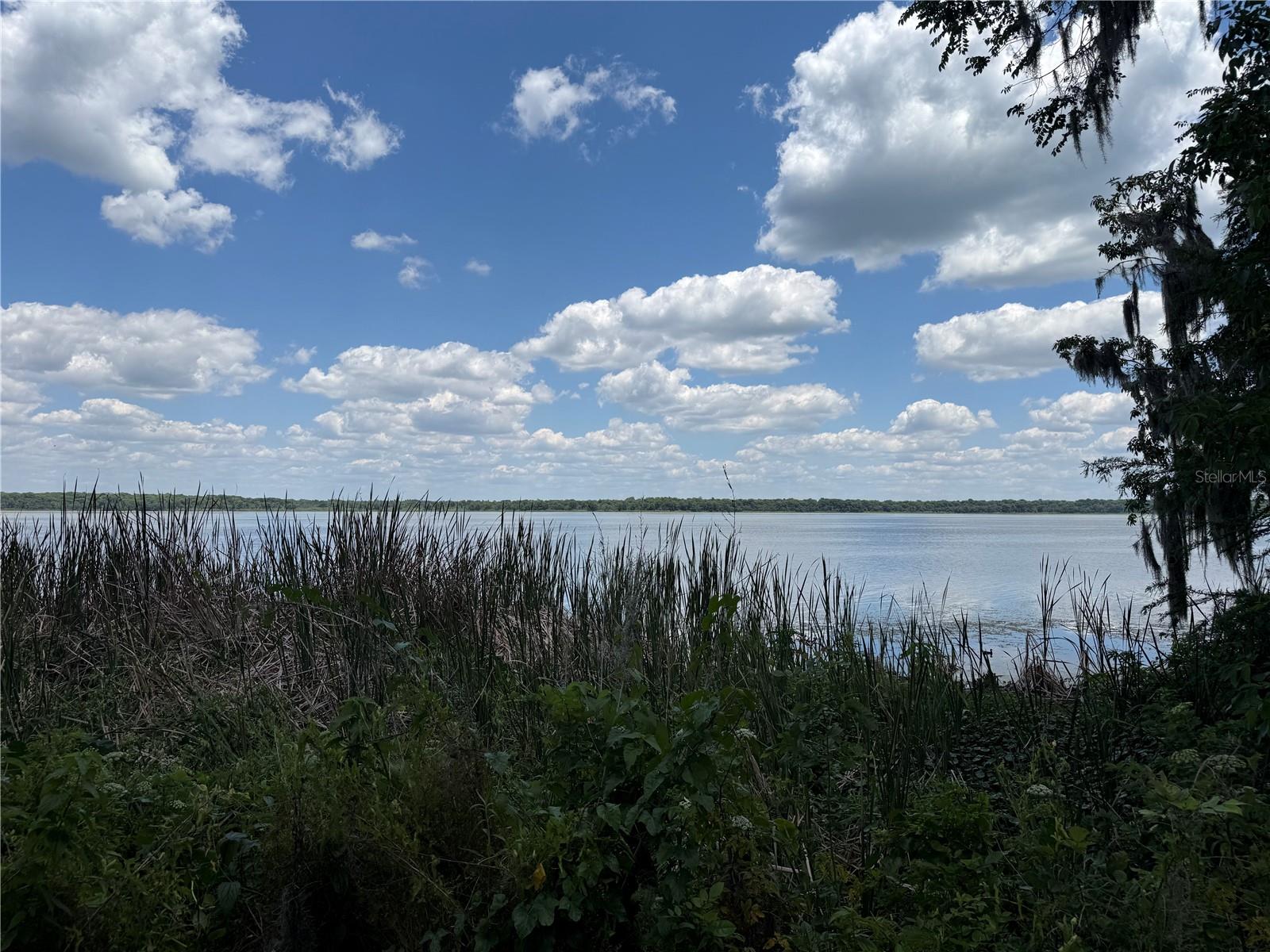 4232 COUNTY ROAD 400, LAKE PANASOFFKEE, FL, 33538