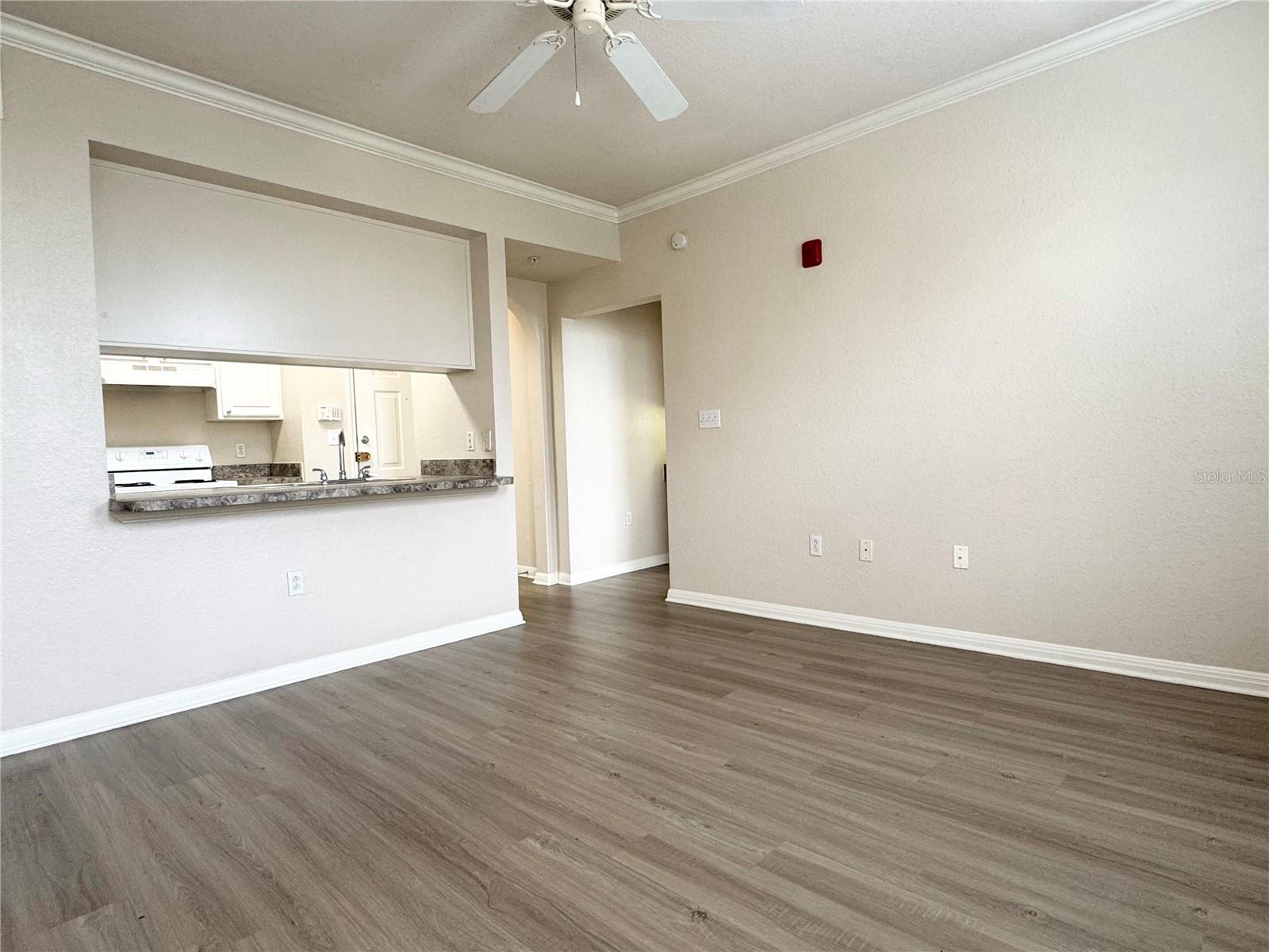 911 N ORANGE AVE #445, ORLANDO, FL, 32801