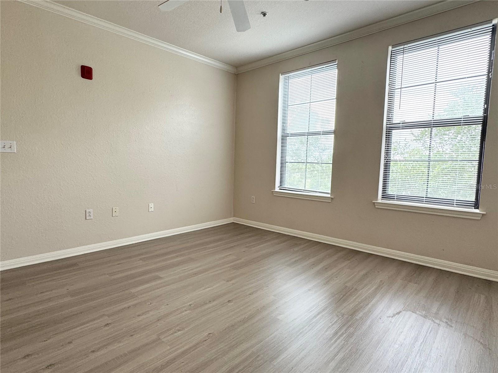 911 N ORANGE AVE #445, ORLANDO, FL, 32801