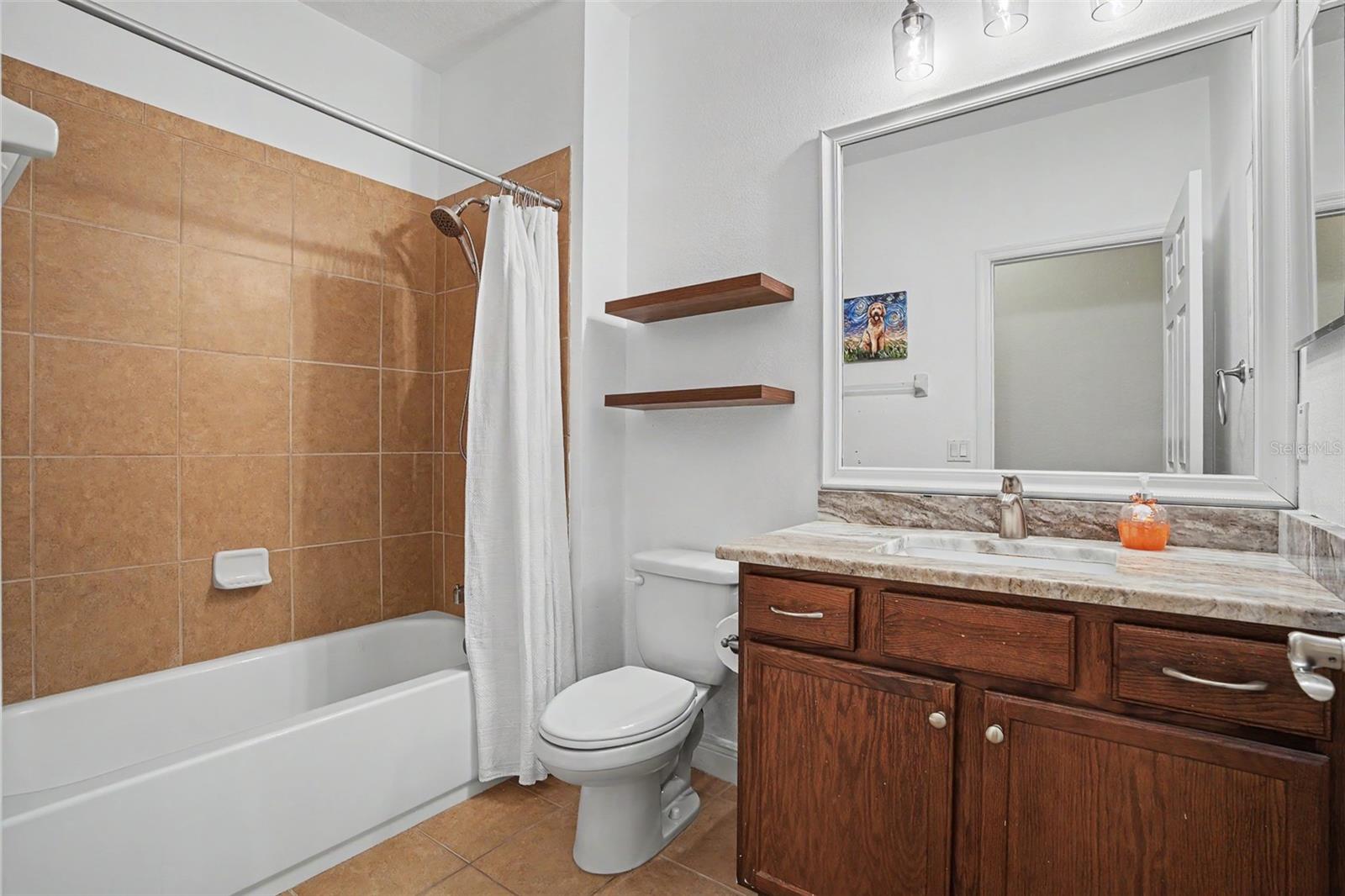 441 HARBOR RIDGE DR, PALM HARBOR, FL, 34683