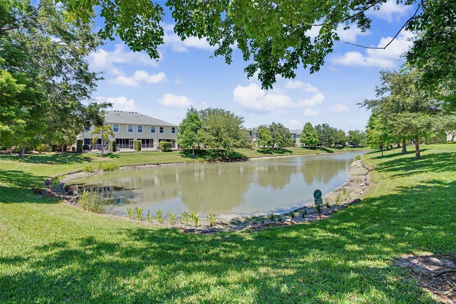 441 HARBOR RIDGE DR, PALM HARBOR, FL, 34683