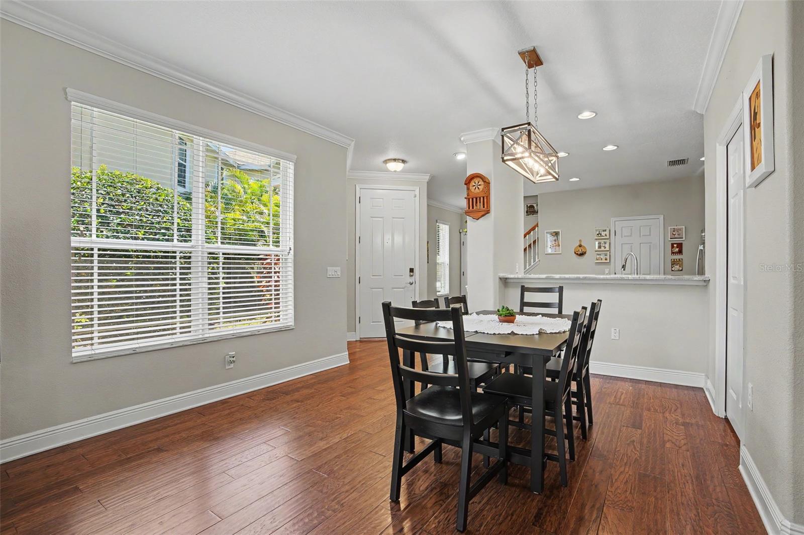 441 HARBOR RIDGE DR, PALM HARBOR, FL, 34683