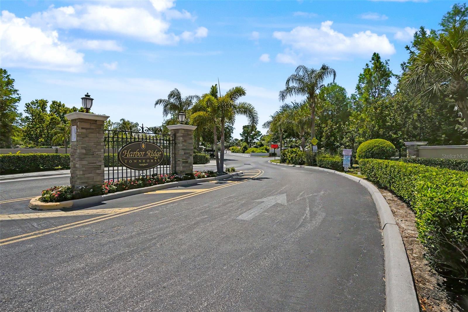 441 HARBOR RIDGE DR, PALM HARBOR, FL, 34683
