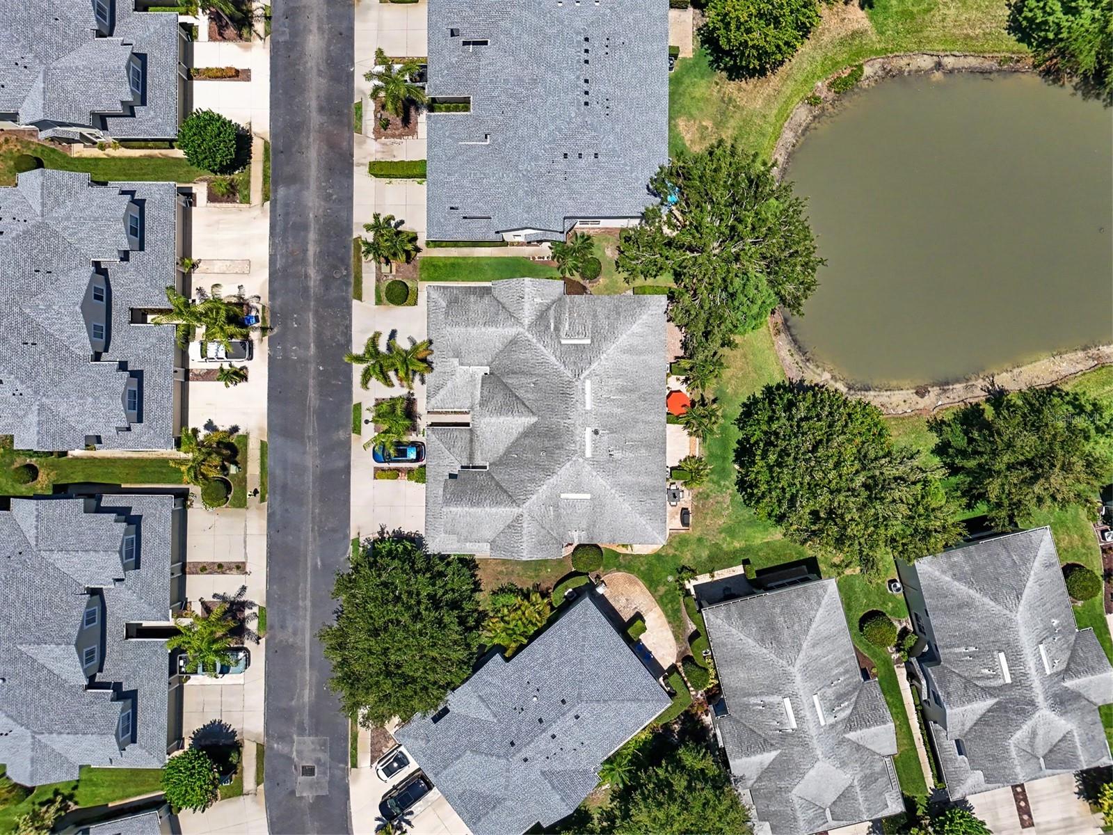 441 HARBOR RIDGE DR, PALM HARBOR, FL, 34683