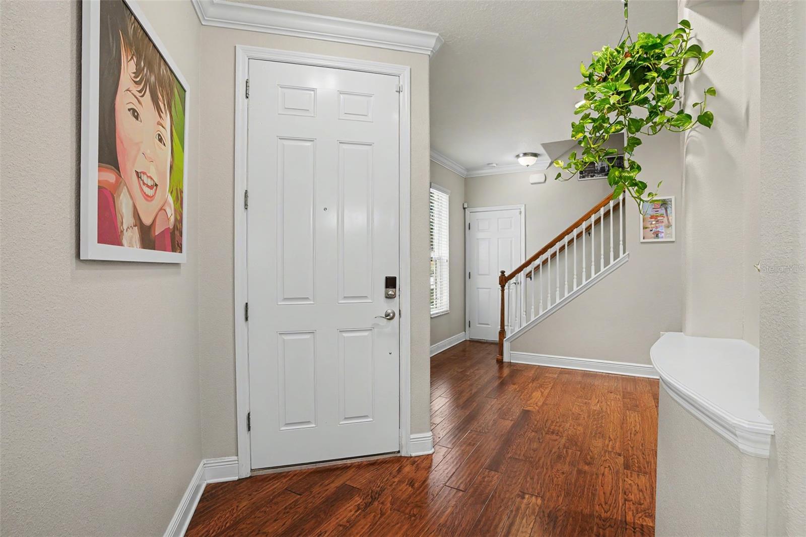 441 HARBOR RIDGE DR, PALM HARBOR, FL, 34683