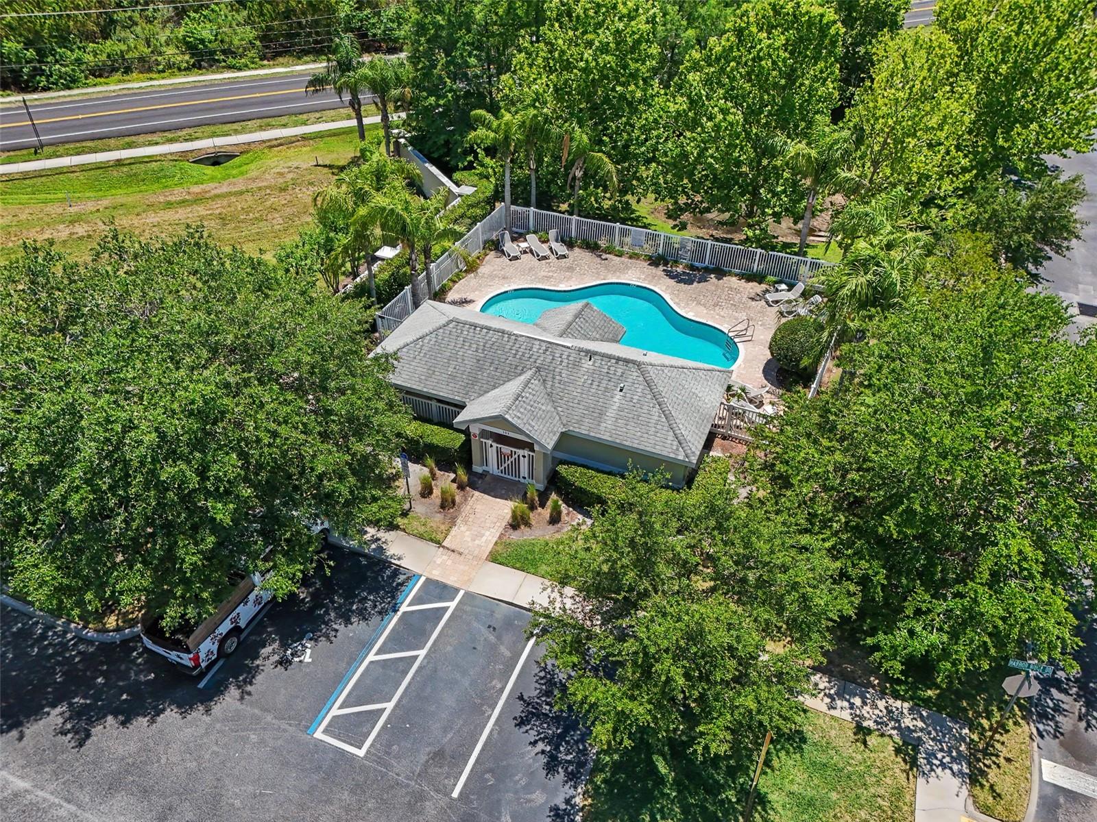 441 HARBOR RIDGE DR, PALM HARBOR, FL, 34683