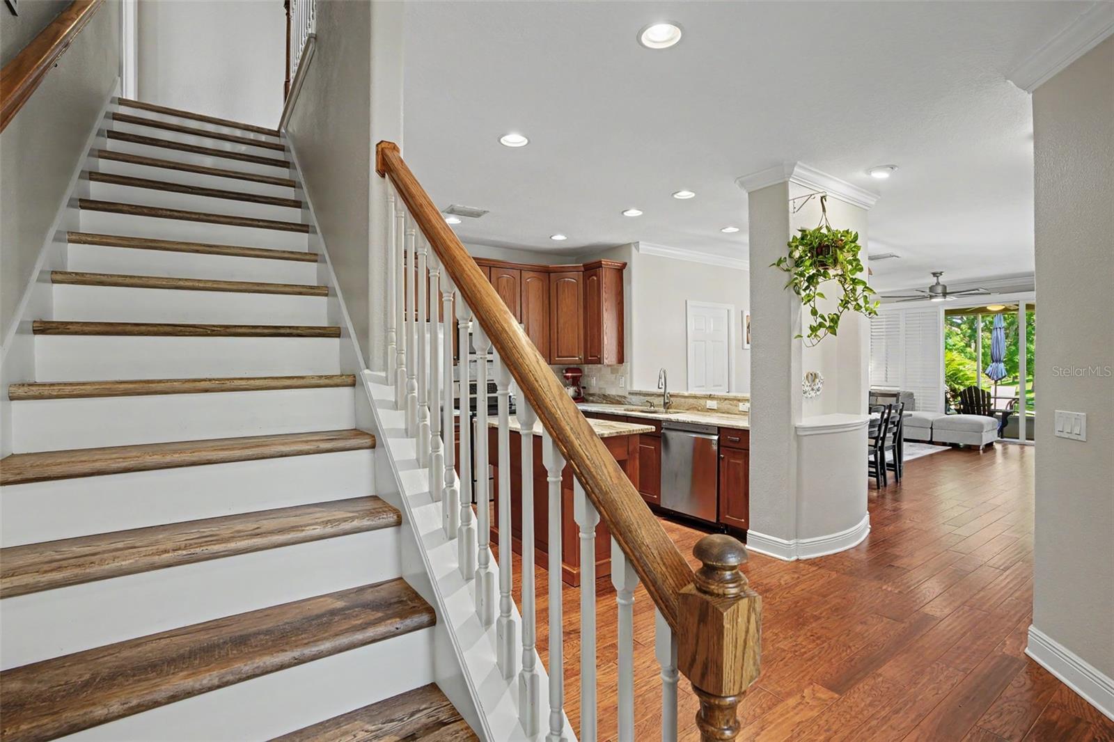 441 HARBOR RIDGE DR, PALM HARBOR, FL, 34683