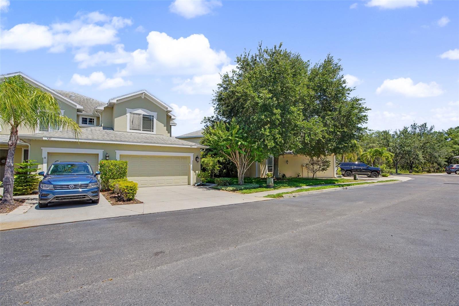 441 HARBOR RIDGE DR, PALM HARBOR, FL, 34683