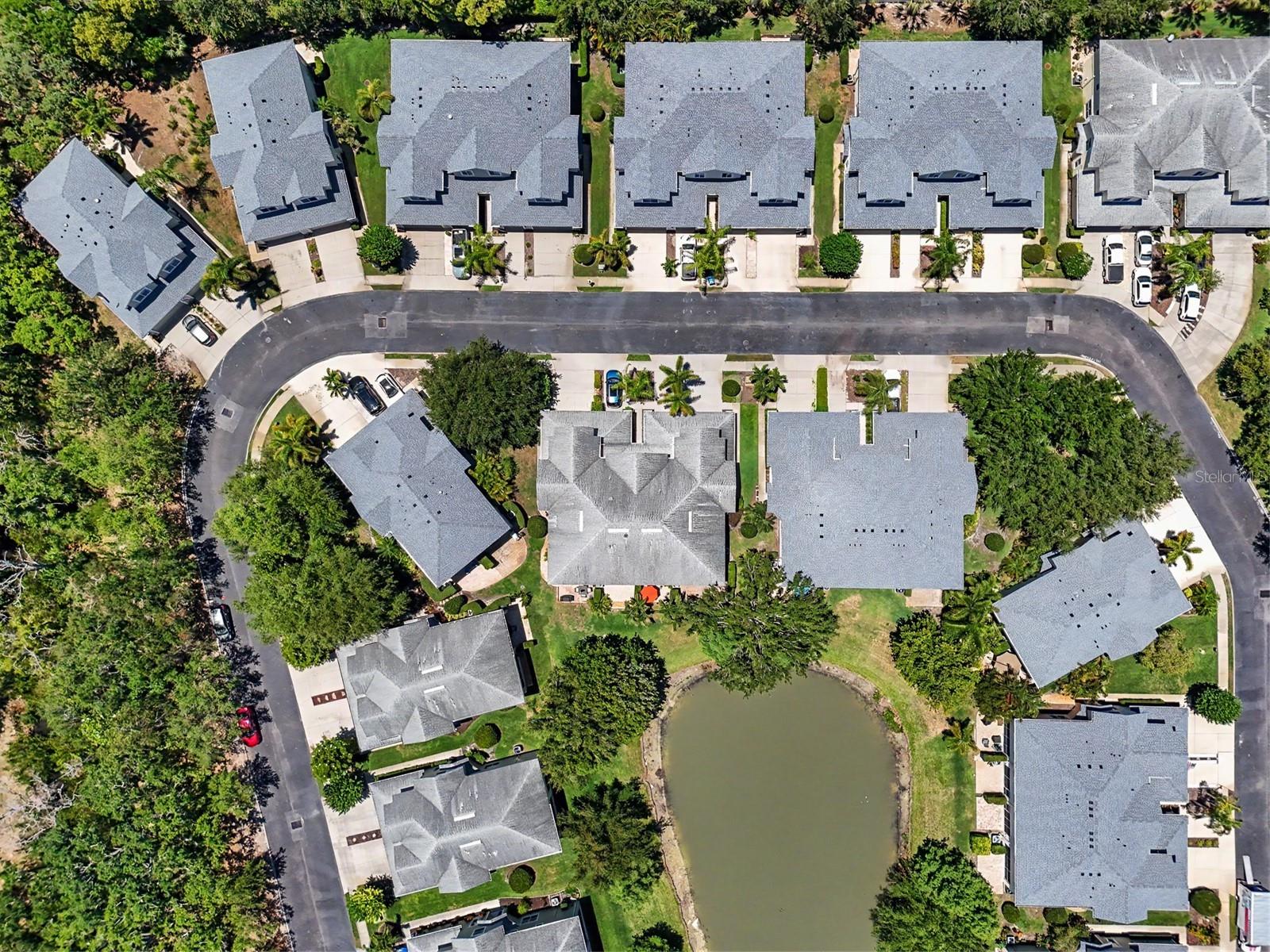 441 HARBOR RIDGE DR, PALM HARBOR, FL, 34683