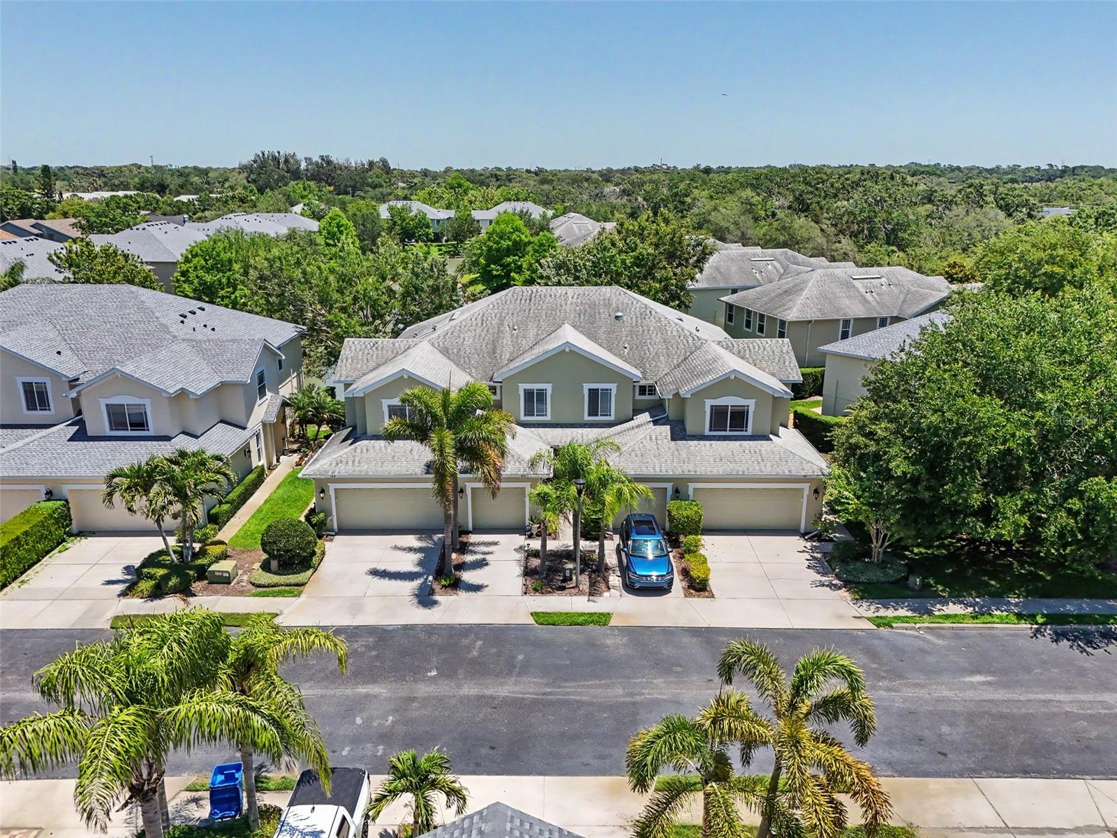 441 HARBOR RIDGE DR, PALM HARBOR, FL, 34683