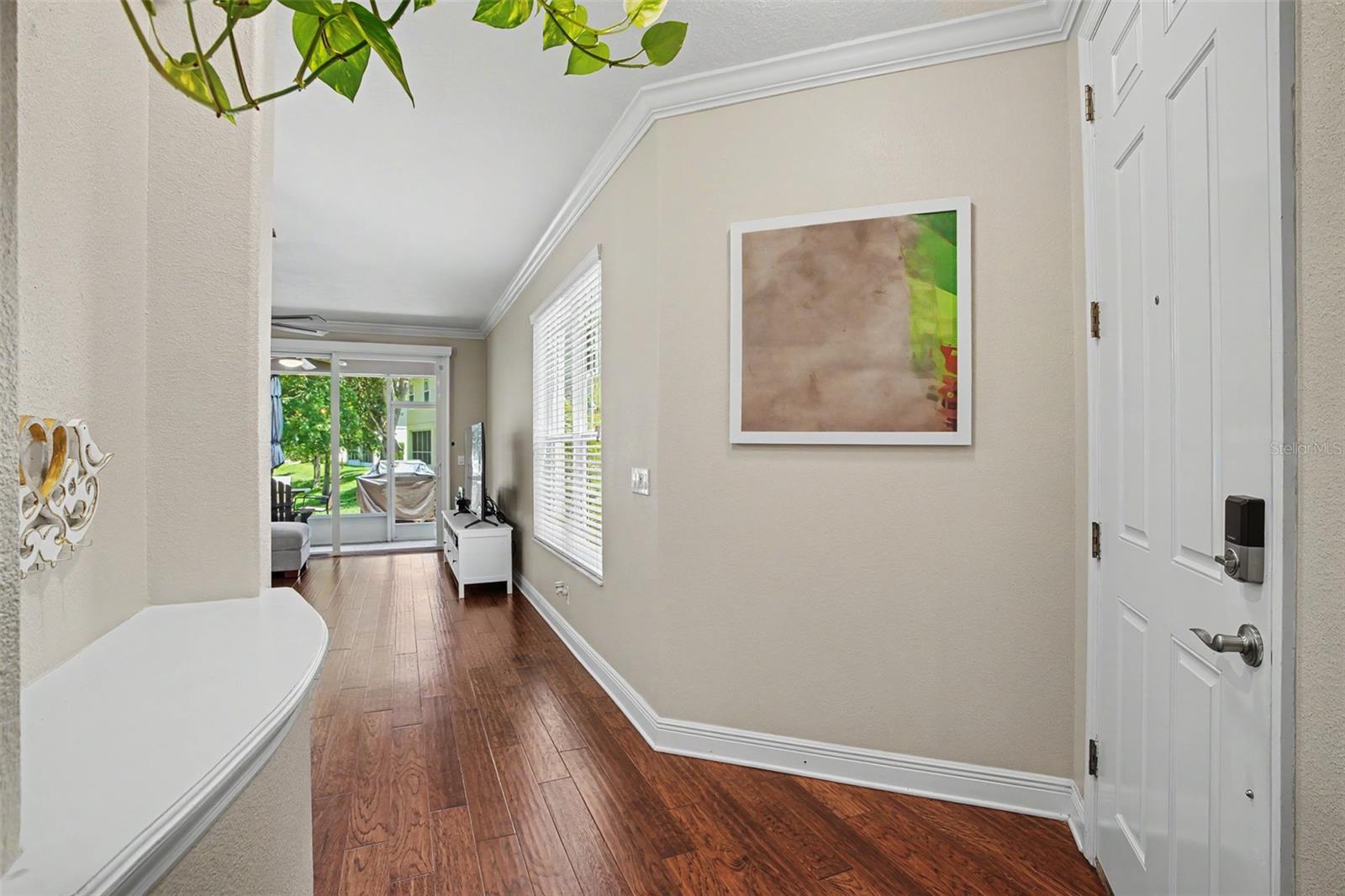 441 HARBOR RIDGE DR, PALM HARBOR, FL, 34683