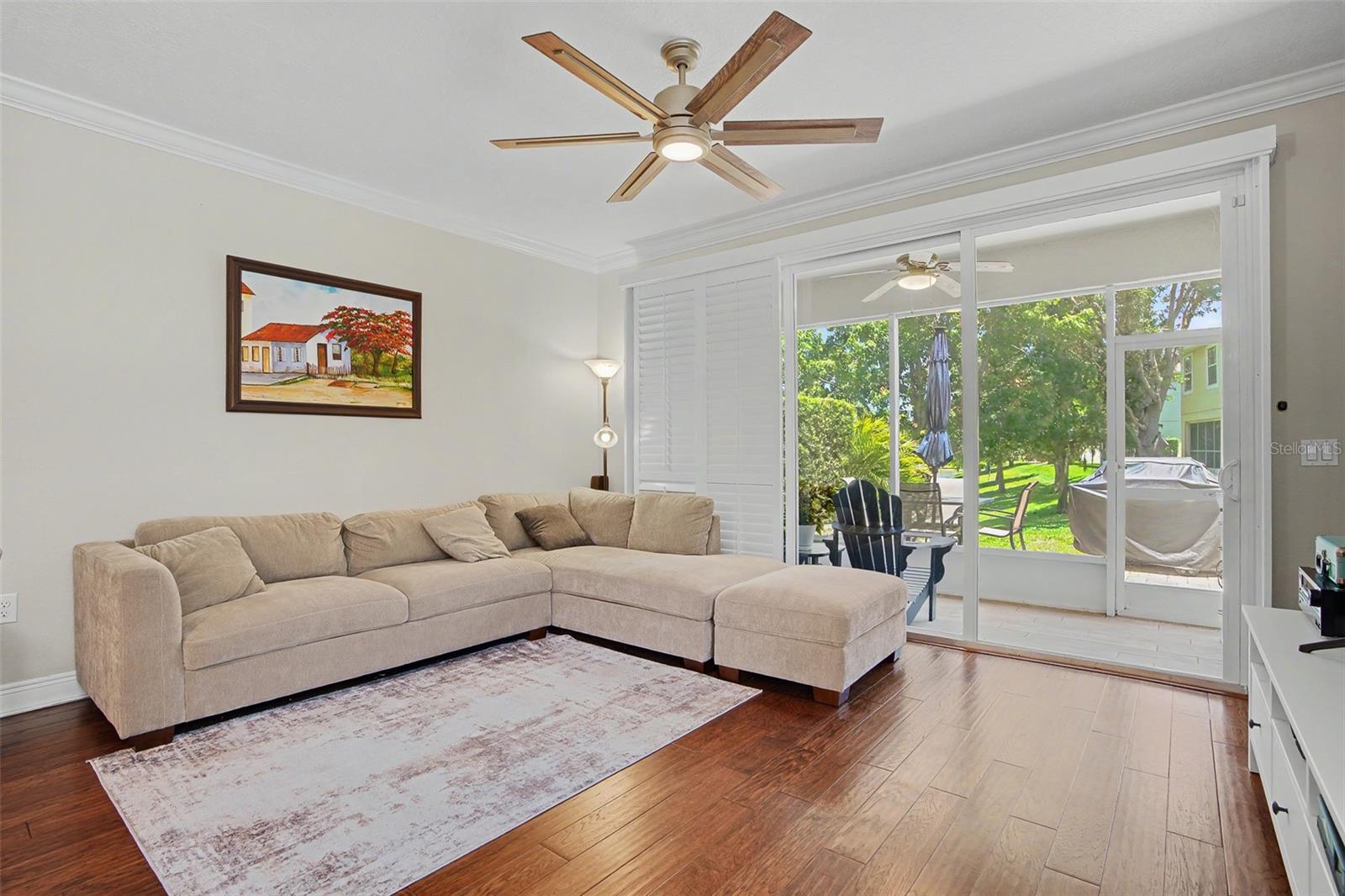 441 HARBOR RIDGE DR, PALM HARBOR, FL, 34683