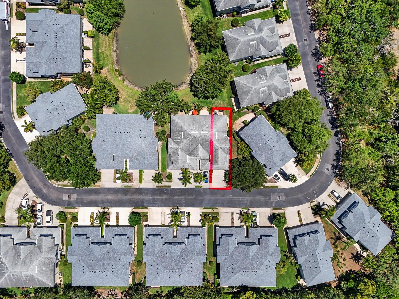 441 HARBOR RIDGE DR, PALM HARBOR, FL, 34683