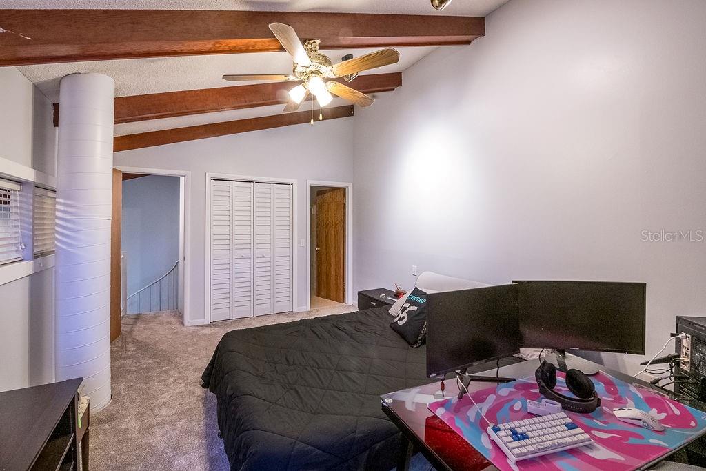 5003 UMBER WAY S, TAMPA, FL, 33624