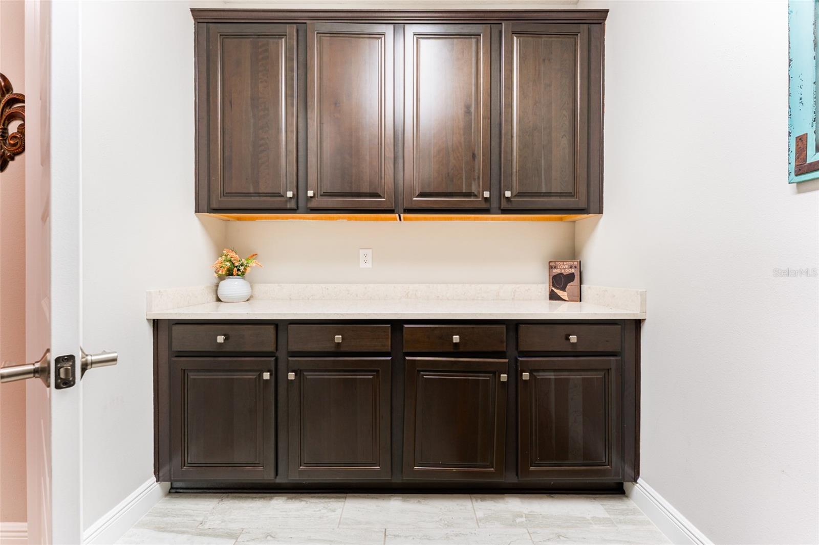 14610 RED CASTLE AVE, LITHIA, FL, 33547