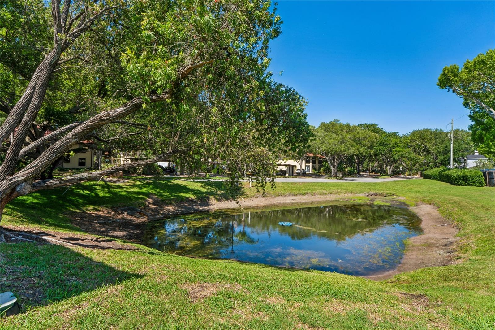 305 HAMMOCK PINE BLVD #305, CLEARWATER, FL, 33761