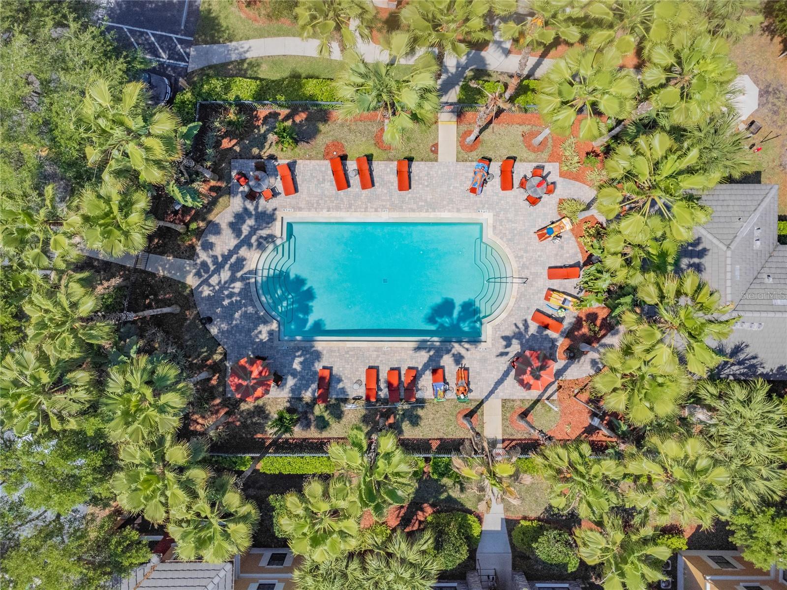 2265 PORTOFINO PL #21-212, PALM HARBOR, FL, 34683
