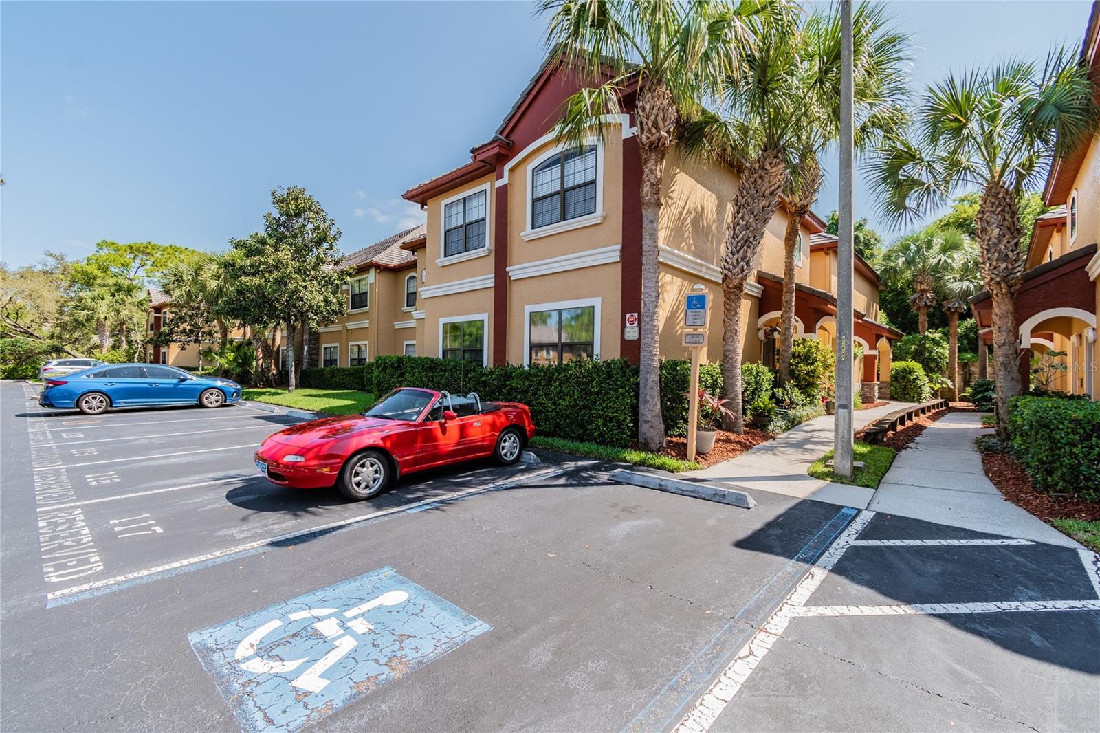 2265 PORTOFINO PL #21-212, PALM HARBOR, FL, 34683