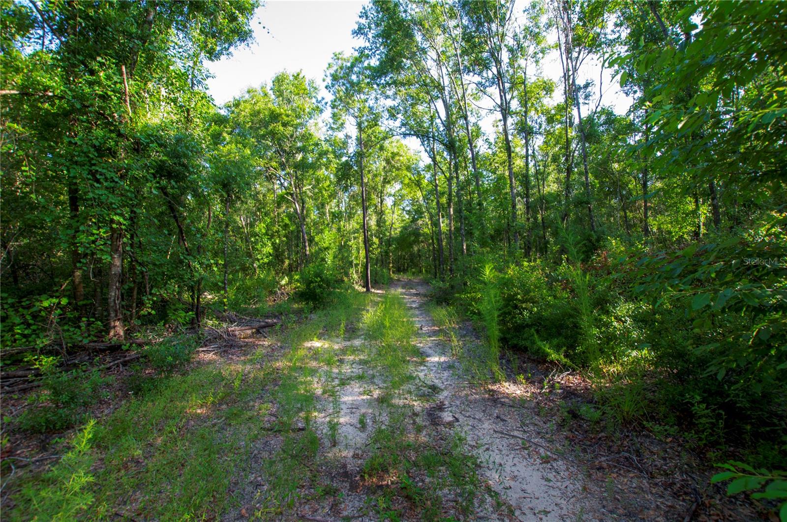 18233 185TH RD, LIVE OAK, FL, 32060