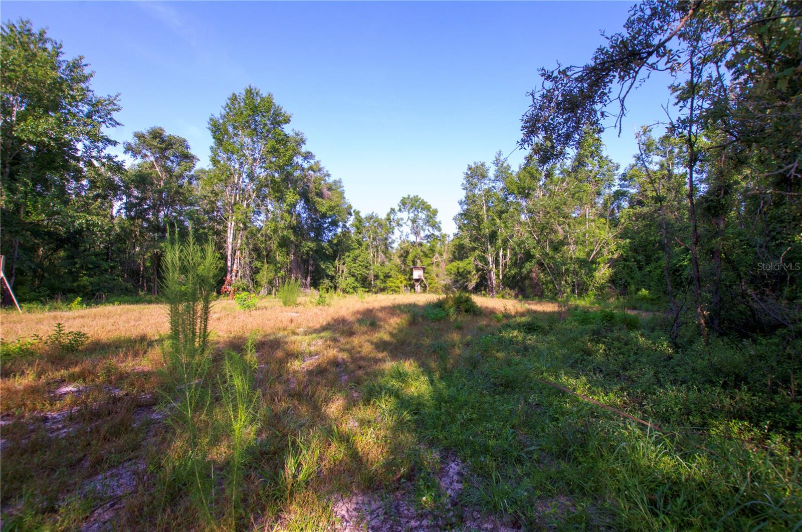 18233 185TH RD, LIVE OAK, FL, 32060