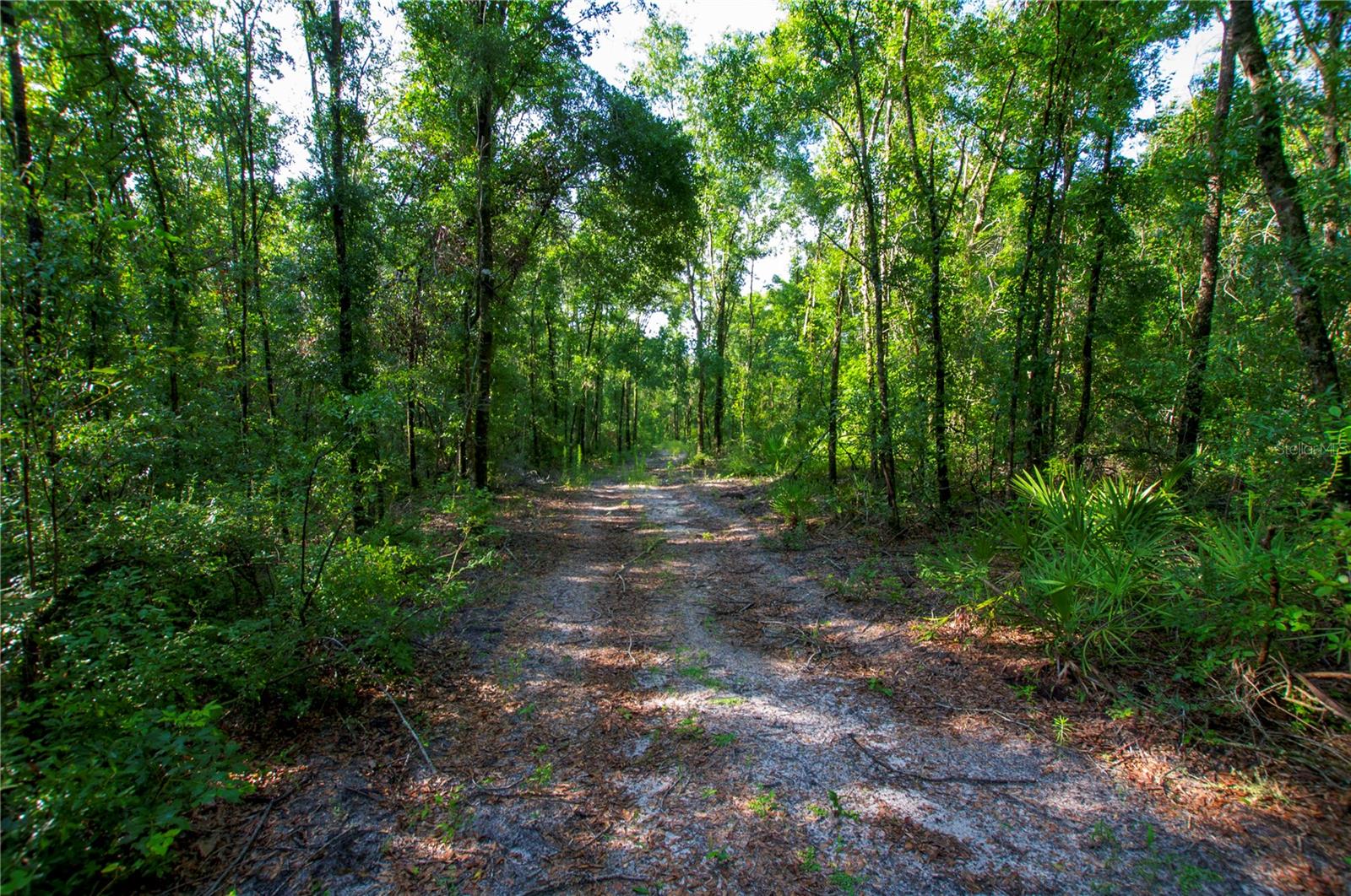 18233 185TH RD, LIVE OAK, FL, 32060