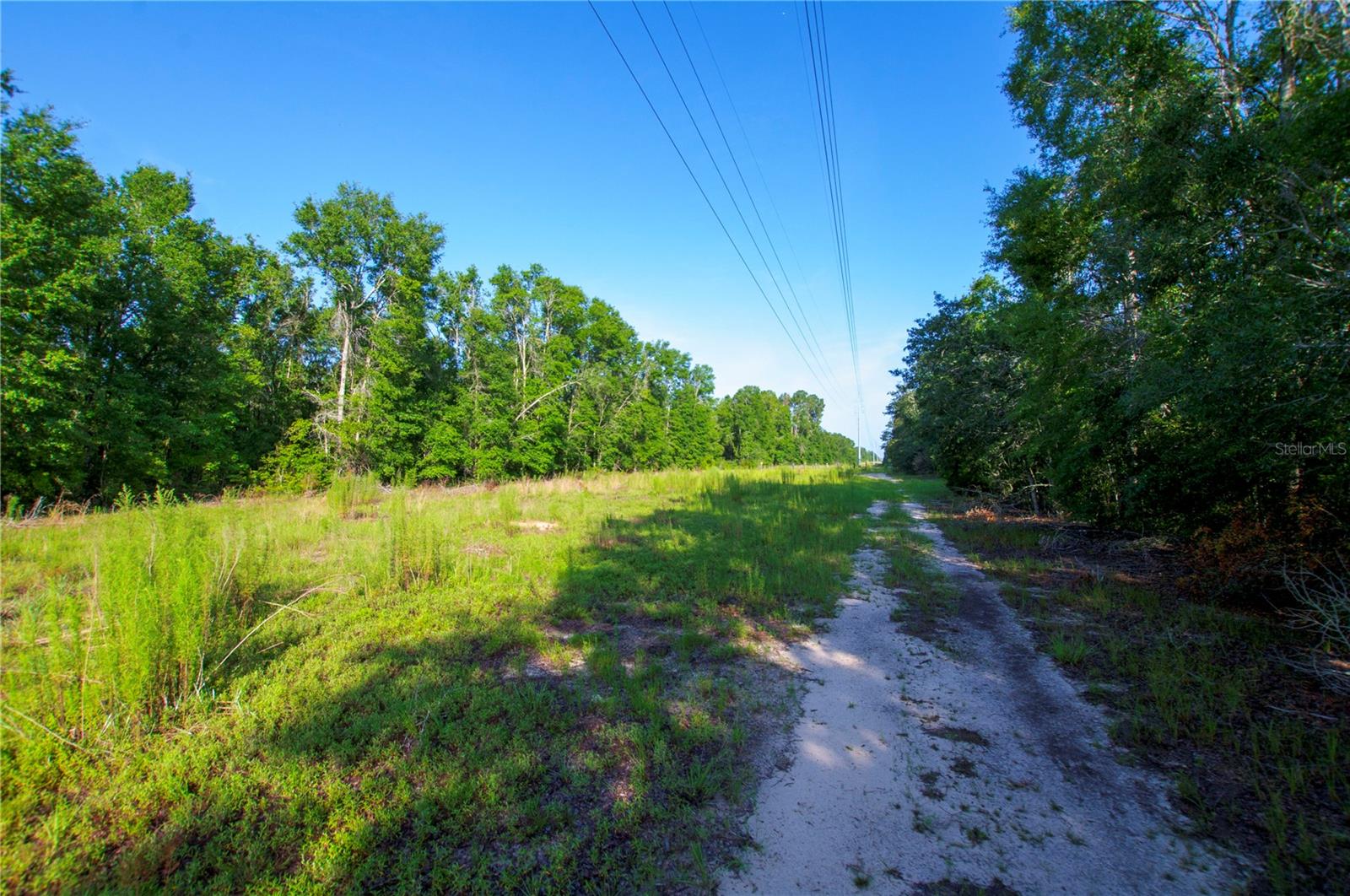 18233 185TH RD, LIVE OAK, FL, 32060