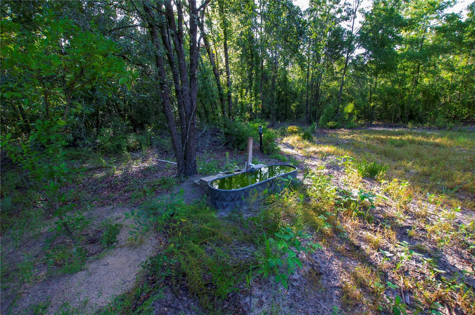 18233 185TH RD, LIVE OAK, FL, 32060