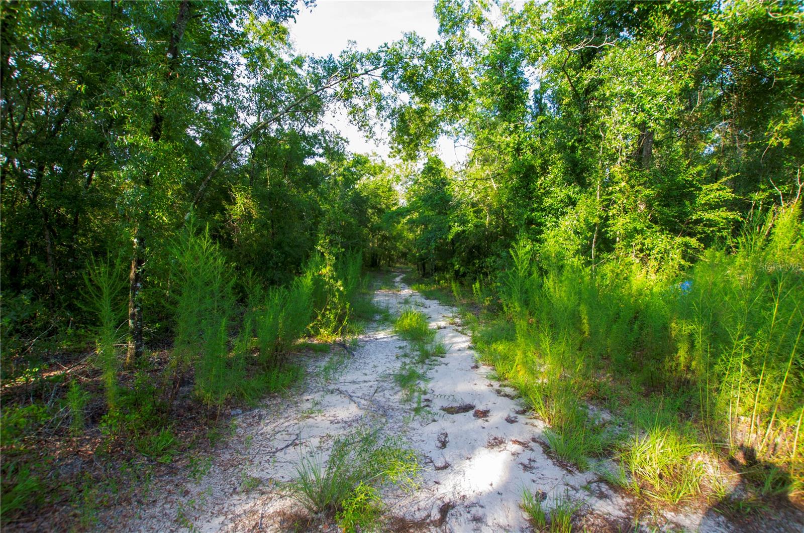 18233 185TH RD, LIVE OAK, FL, 32060