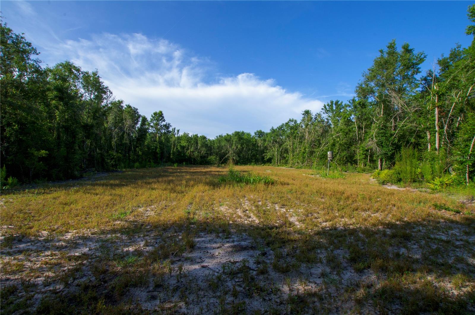 18233 185TH RD, LIVE OAK, FL, 32060