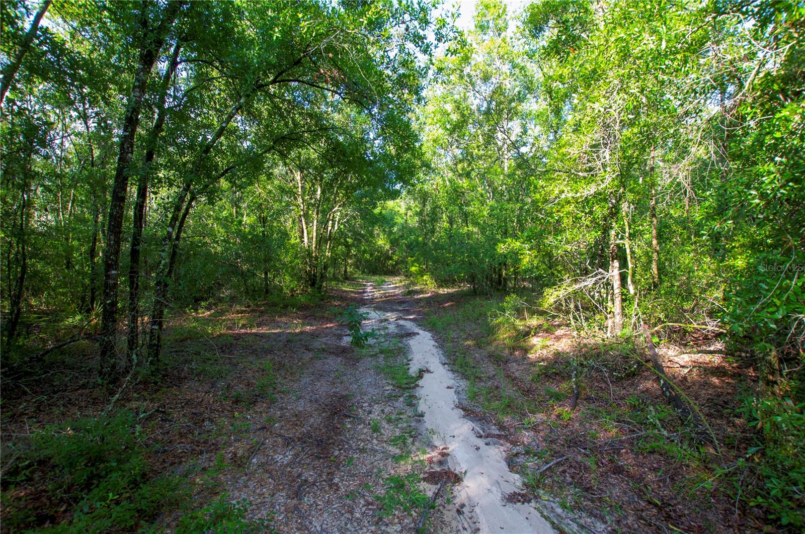 18233 185TH RD, LIVE OAK, FL, 32060