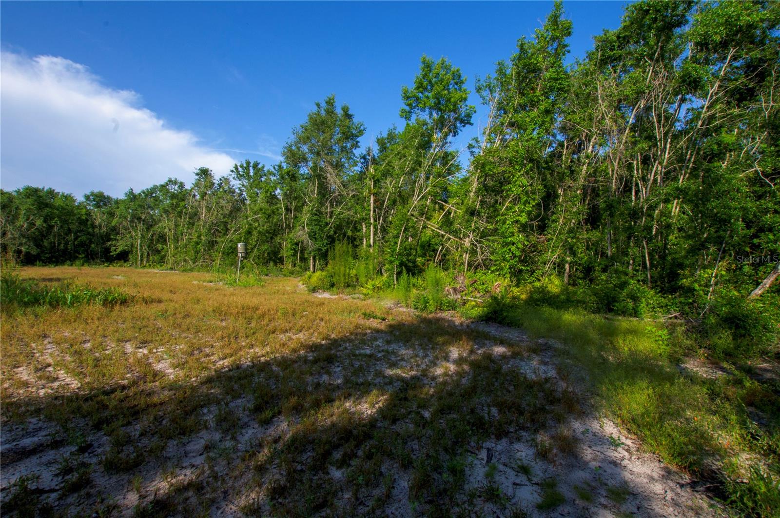 18233 185TH RD, LIVE OAK, FL, 32060