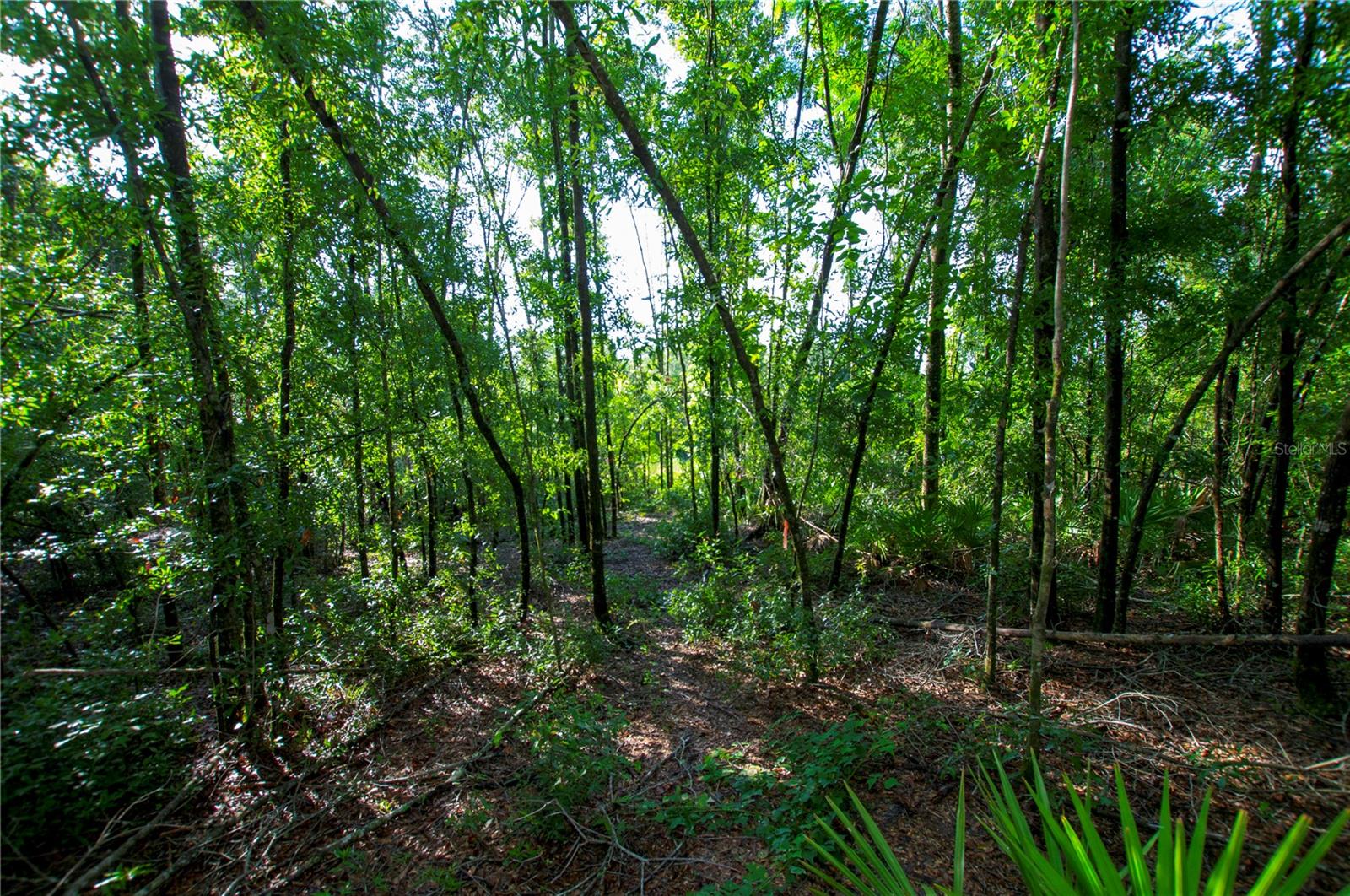 18233 185TH RD, LIVE OAK, FL, 32060