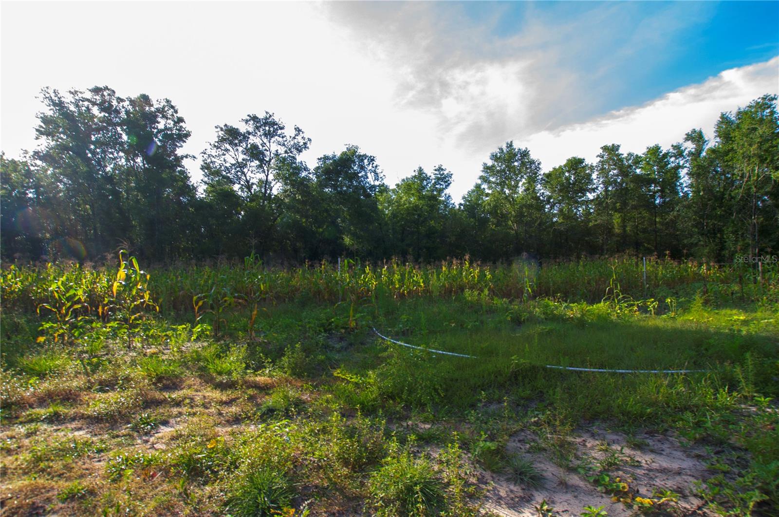18233 185TH RD, LIVE OAK, FL, 32060