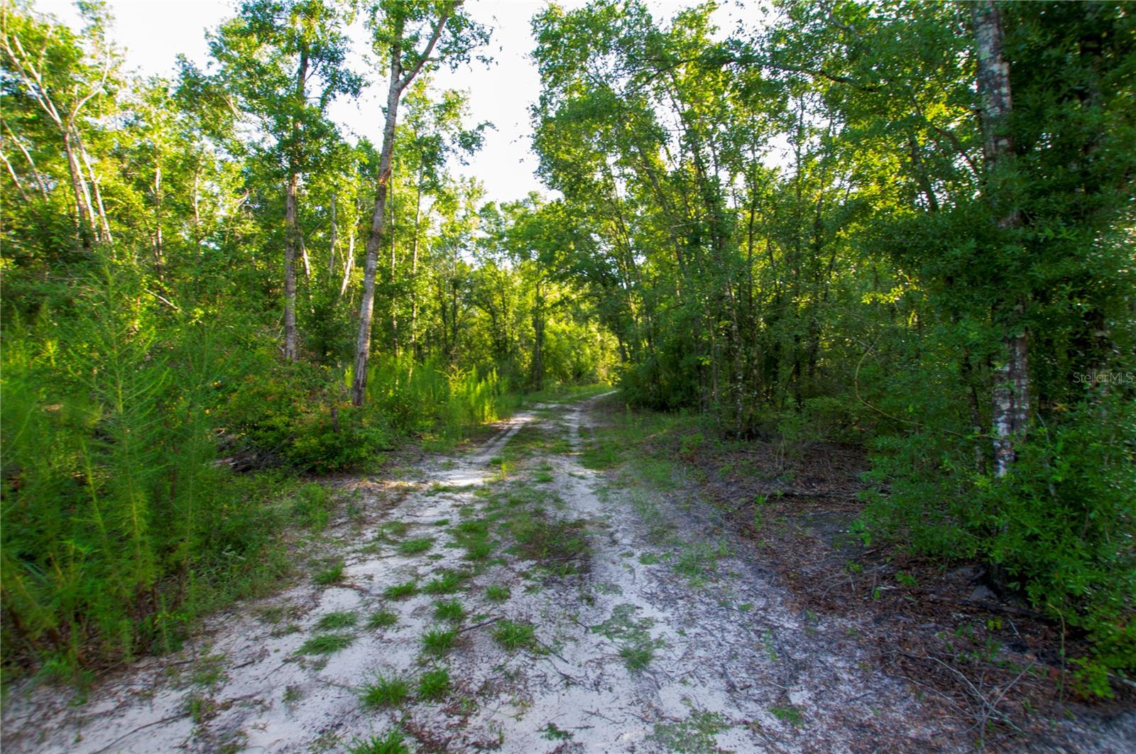 18233 185TH RD, LIVE OAK, FL, 32060