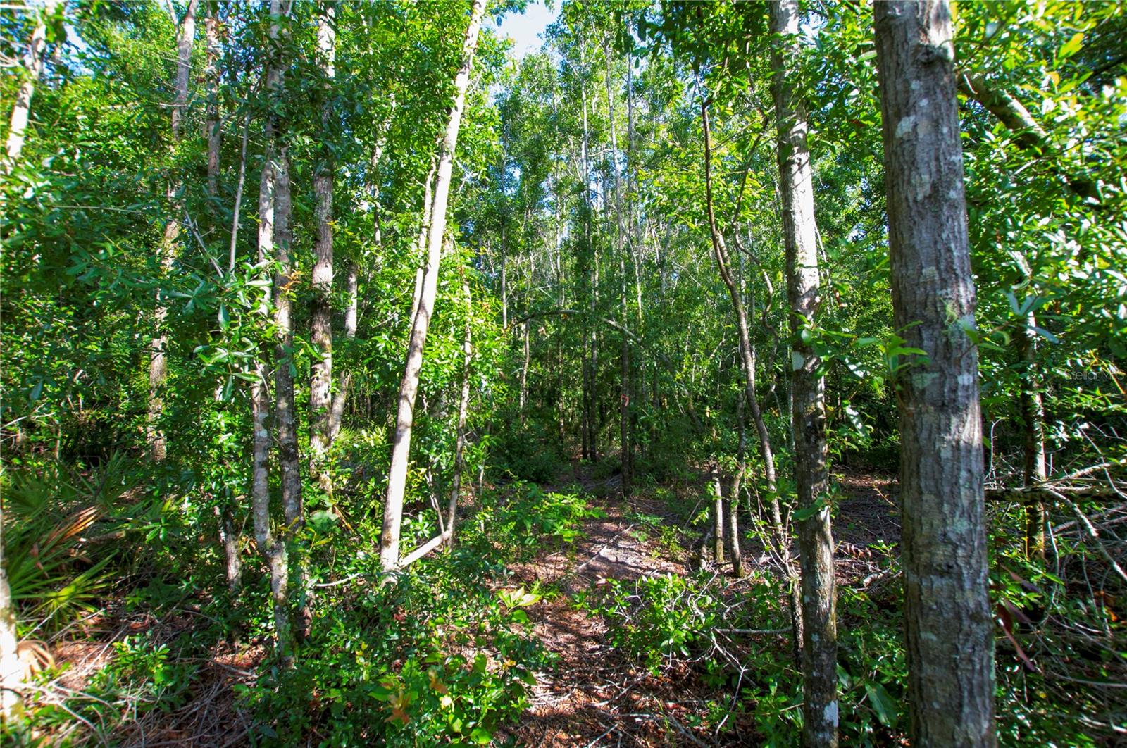 18233 185TH RD, LIVE OAK, FL, 32060