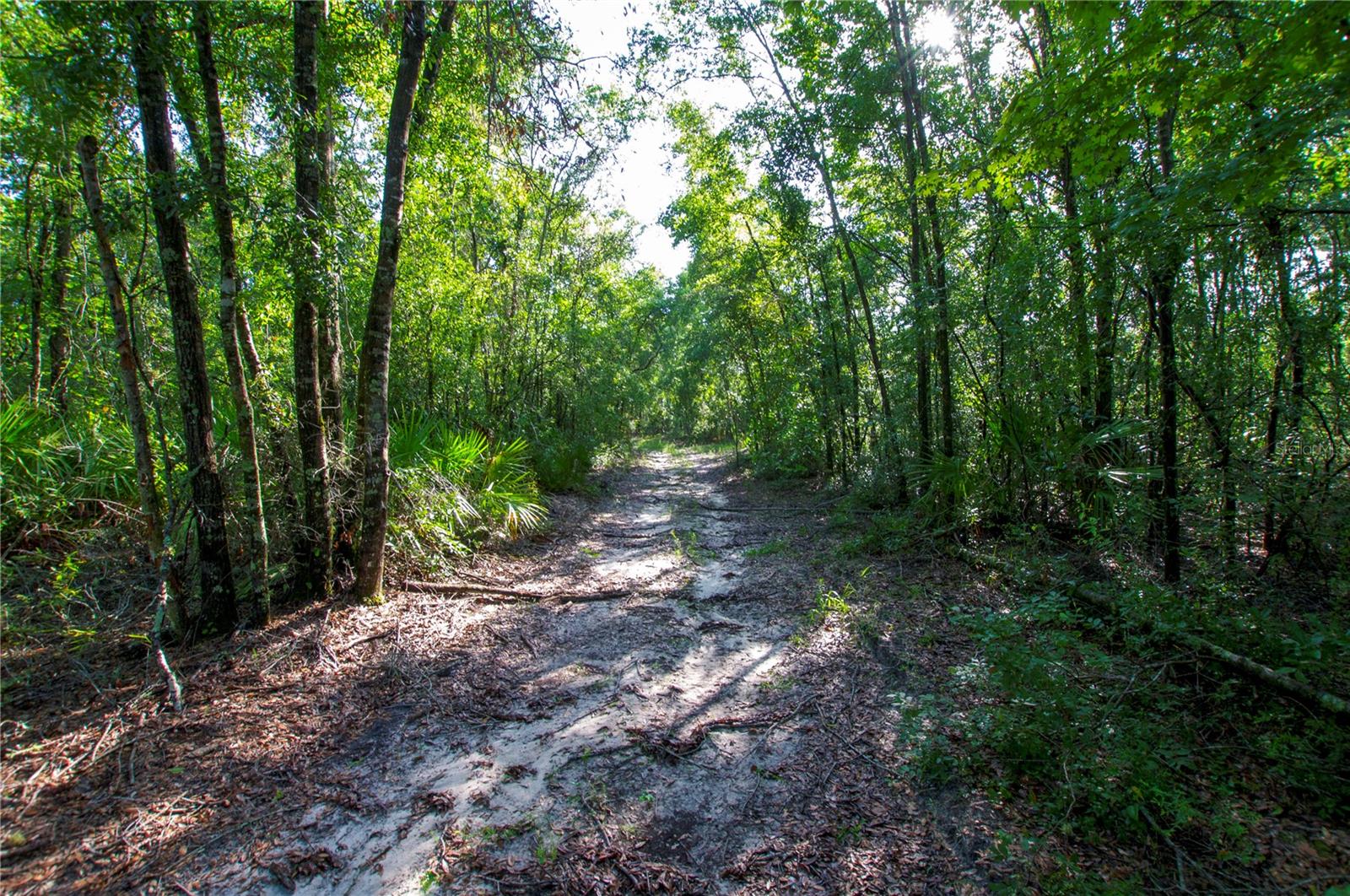 18233 185TH RD, LIVE OAK, FL, 32060